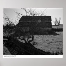 Barn, against Sun (flare spot), March 1962 Poster