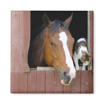 Barn Buddies Magnet