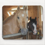 Barn Buddies Mousepad