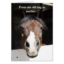 Barn Horse, old nag, happy birthday card