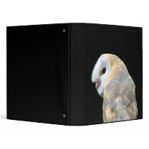 Barn Owl