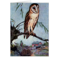 Barn Owl, Farmhouse and Barn Greeting Card