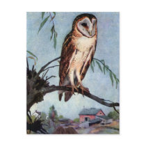 Barn Owl, Farmhouse and Barn Post Card