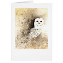Barn Owl Greeting Card