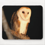 Barn Owl Mousepads