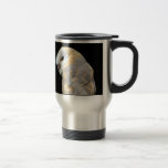 Barn Owl Mug