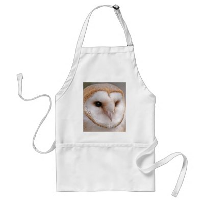 Barn Owl Portrait Aprons by Steving