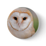 Barn Owl Portrait Pinback Buttons