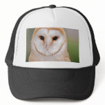 Barn Owl Portrait hats
