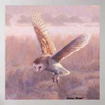 Barn Owl Poster