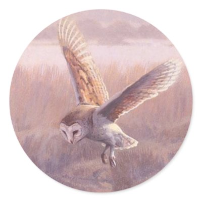 Barn Owl Round Stickers  by MzLisaMichelle