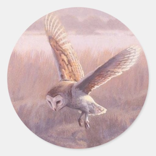 Barn Owl Round Stickers 