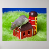 Barn Rat Poster