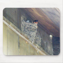 Barn Swallow Series Mouse Pad
