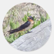 Barn Swallow Series Round Sticker