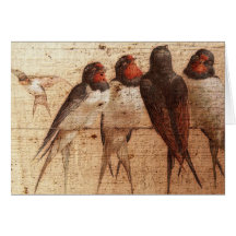 Barn Swallows Card