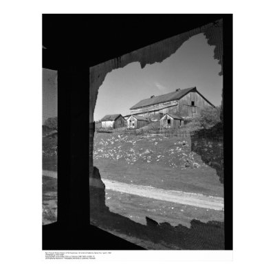 Barn through Broken Screen of Old Cookhouse Poster by ucrcmp