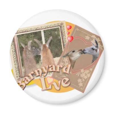 BARN YARD LOVE - LLAMAS KISSING FRIDGE MAGNET by WildOnes