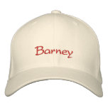 Barney Name Cap / Hat embroidered hats