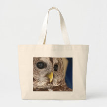 Barney the Owl Canvas Bag