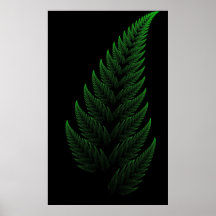 Barnsley Fern Posters