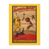Barnum & Bailey Circus Foot-Ball Dogs Post Cards