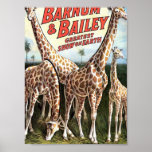 Barnum & Bailey Giraffes Retro Theater Posters
