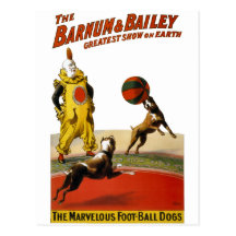 Barnum et Bailey : Chiens du football Carte Postale