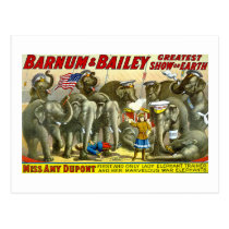 Barnum et Bailey - éléphants cartes postales