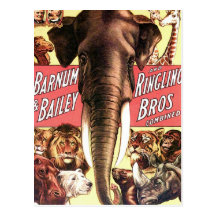 Barnum et Bailey et Ringling Bros combiné - Eleph Carte Postale