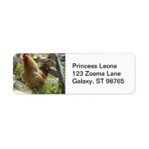 Barnyard Chicken Label