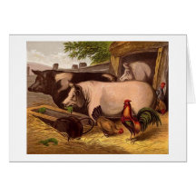 Barnyard Friends, Greeting Card