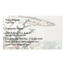 Barracuda and Reef Fishes Business Card