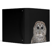 Barred Owl