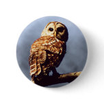 Barred Owl Button