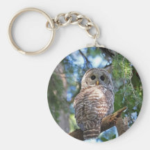 Barred Owl Key Chains