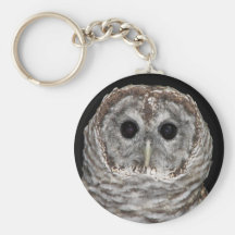 Barred Owl Keychain
