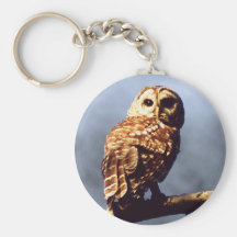 Barred Owl Keychain