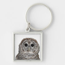 Barred Owl Keychains