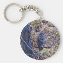 Barred Owl Keychains