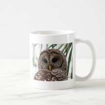 Barred Owl Mug