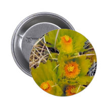 Barrel cactus button