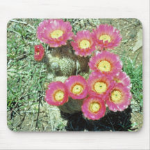 Barrel Cactus Mouse Pad