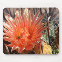 Barrel Cactus Mousepad
