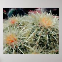 Barrel Cactus Poster