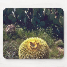Barrel Cactus With Brothers Mouse Pad