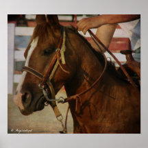 Barrel Race Horse Posters