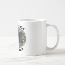 Barrel X Limited Surf Costa Rica Mugs
