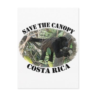 Barrel X Limited Surf Costa Rica Postcard by barrelx