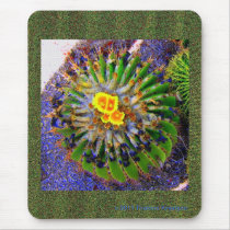 BARRELL CACTUS IN BLOOM MOUSEPADS